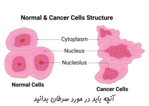 آنچه باید در مورد سرطان بدانید
